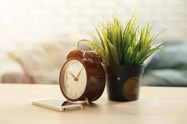 Old-fashioned alarm clock and house plant on wooden table