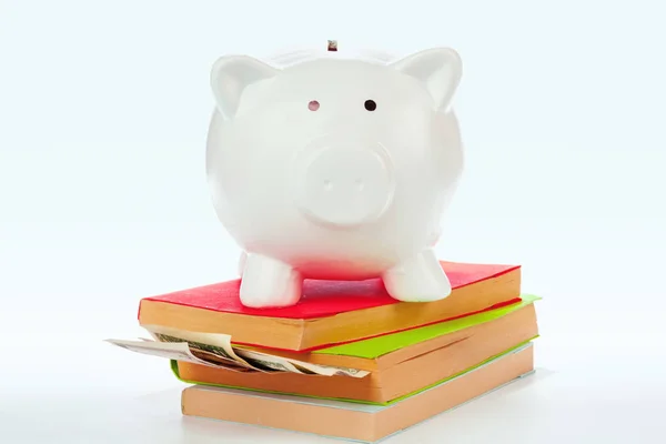 Keramisches Sparschwein Mit Büchern Und Geld — Stockfoto