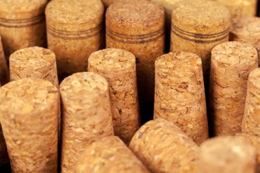 Şarap mantarları grubunu kapatın.