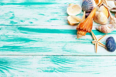 Renkli ahşap zemin üzerinde farklı deniz kabukları