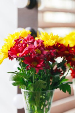 Kasımpatıları kapat.