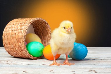 Tahta masada paskalya yumurtası taşıyan piliç.