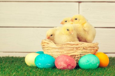 Yeşil çimlerde Paskalya yumurtası ve tavukları
