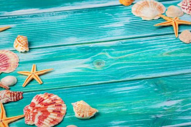 Renkli ahşap zemin üzerinde farklı deniz kabukları