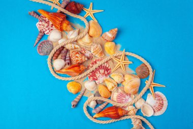 Düz yatıyordu. Üst Manzara. Mavi arkaplanda çeşitli kabukların çerçevesi.