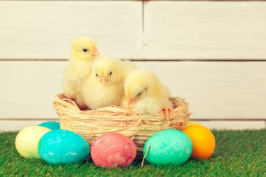 Yeşil çimlerde Paskalya yumurtası ve tavukları