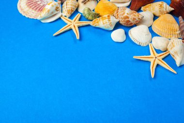 Düz yatıyordu. Üst Manzara. Mavi arkaplanda çeşitli kabukların çerçevesi.