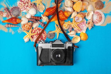 Deniz kabukları, denizyıldızı ve kamera.