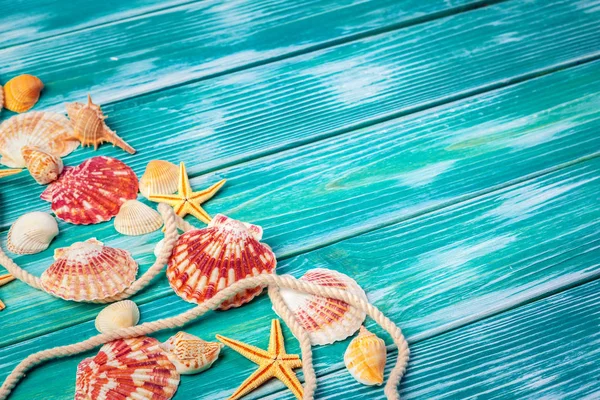 Renkli ahşap zemin üzerinde farklı deniz kabukları