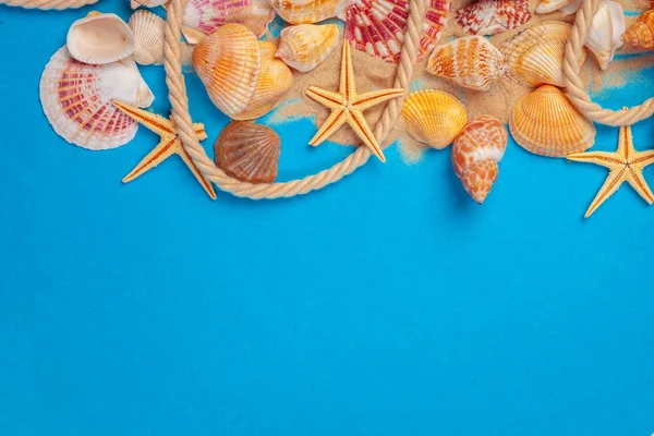 Düz yatıyordu. Üst Manzara. Mavi arkaplanda çeşitli kabukların çerçevesi.