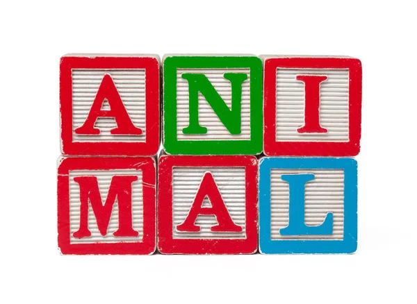Blocos Alfabeto Coloridos Palavra Animal Isolado Fundo Branco — Fotografia de Stock