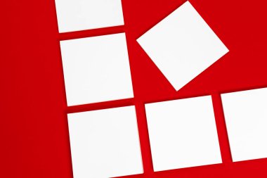 Fotoğraf. Marka kimliği şablonu. Grafik tasarımcıları sunumları ve portföyleri için. Kırmızı ve beyaz