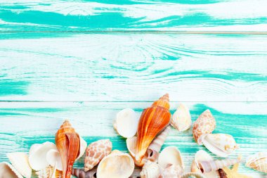 Renkli ahşap zemin üzerinde farklı deniz kabukları