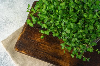 Tahtada mikro yeşil filizler, yukarıdan manzara