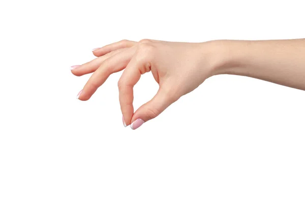 白い背景に隔離された何かを持つ女性の手 — ストック写真