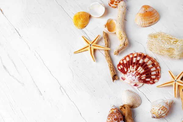 Fondo de madera blanca con conchas marinas, espacio para copiar — Foto de Stock