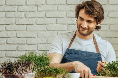 Beyaz adam evde mikro yeşillik yetiştiriyor.