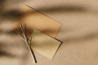 Mantar panoda yaprak gölgesi olan zarflar