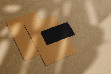 Mantar panoda yaprak gölgesi olan zarflar