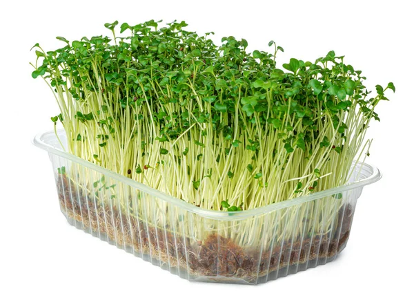 Mikrozöld csírák fehér alapon izolált vízitorma salátából — Stock Fotó