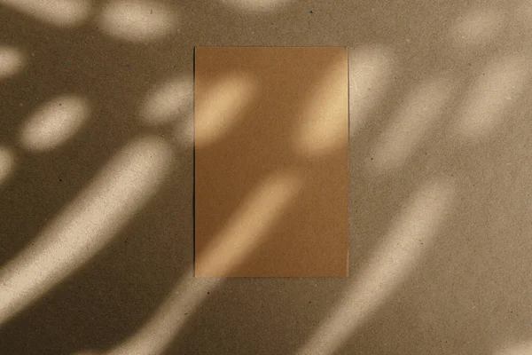 Конверти на пробковій дошці з тіні листя — стокове фото