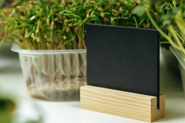 Kopya alanı olan mikro yeşil ve siyah fiyat etiketi