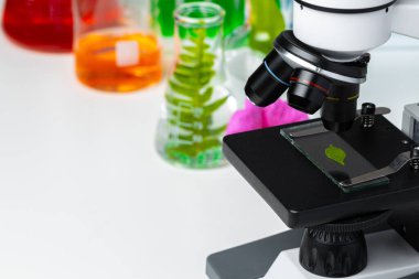 Mikroskopta cam bir kaydırak üzerinde bitki yaprağını kapat. Biyoteknoloji kavramı