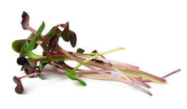 Beyaz arkaplanda izole edilmiş mikro yeşil filizler