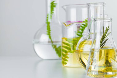 Laboratuvar cam kaplamalı bitkiler. Cilt ürünleri ve uyuşturucu kimyasal araştırmaları konsepti