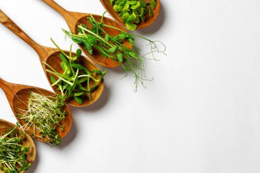 Pamuk peçetede tahta kaşıkta mikro yeşiller