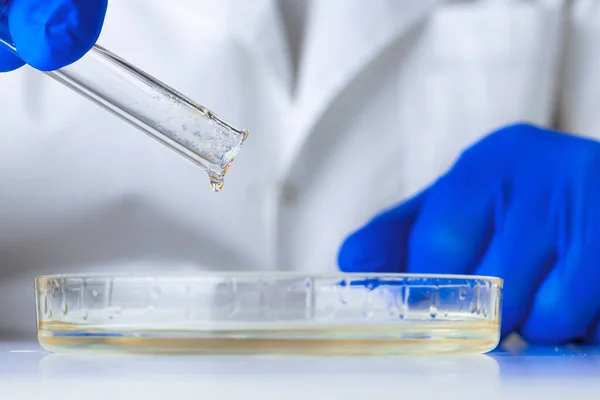 Close-up de mãos de um cientista que trabalha com amostras de laboratório — Fotografia de Stock