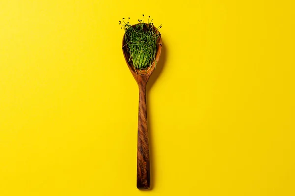 Мікрозелень у дерев'яній ложці на фоні паперу — стокове фото