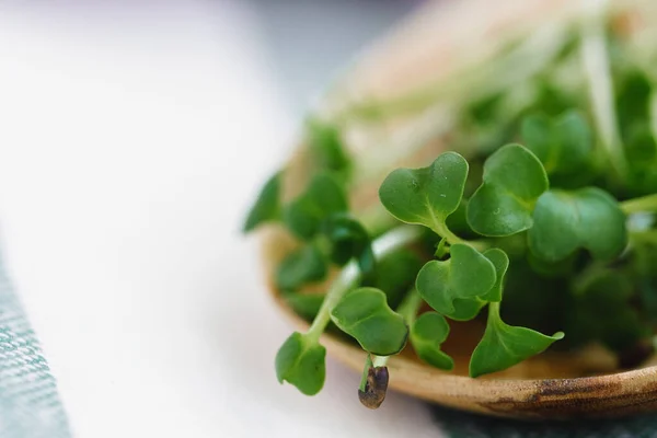 Micro greens in wooden spoon on cotton napkin