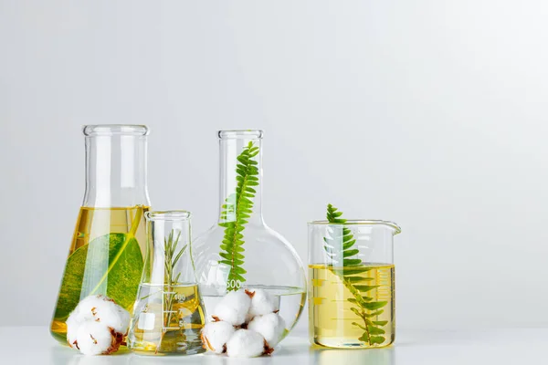 Plants in laboratory glassware. Skincare products and drugs chemical researches concept — Stock Photo, Image