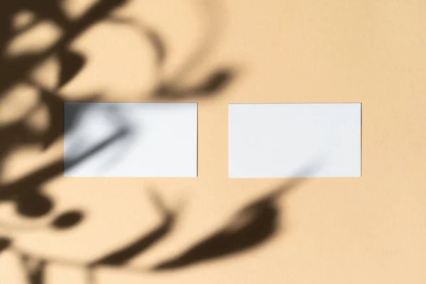 Cartão de visita branco em branco no fundo bege com sombra floral criativa — Fotografia de Stock