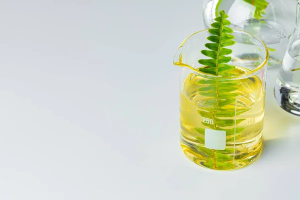 Laboratóriumi üvegedényekben lévő növények. Skincare termékek és gyógyszerek kémiai kutatások koncepció — Stock Fotó