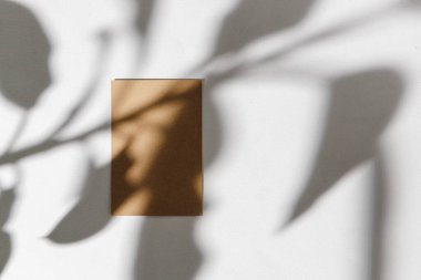 Kağıt arkaplanda iş kartıyla yeşillik gölgesi