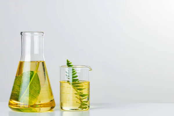 Laboratóriumi üvegedényekben lévő növények. Skincare termékek és gyógyszerek kémiai kutatások koncepció — Stock Fotó