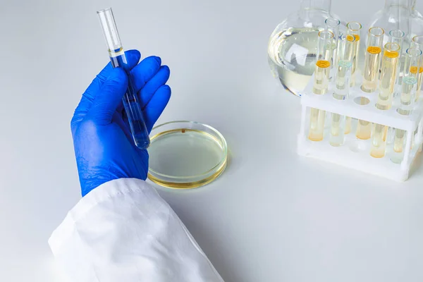 Close-up de mãos de um cientista que trabalha com amostras de laboratório — Fotografia de Stock