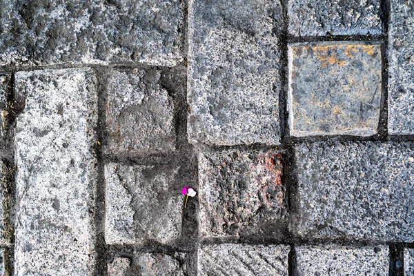 Straßenpflasterplatten in Mosaikornament geformt — Stockfoto