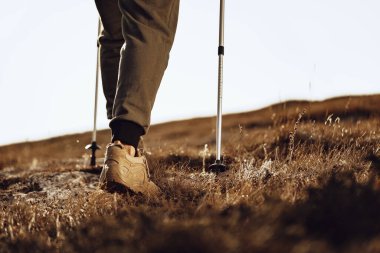 Dağa tırmanan bastonlu bir gezgin.