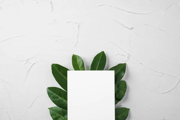 Carta de papel en blanco con rama de planta, espacio para copiar — Foto de Stock