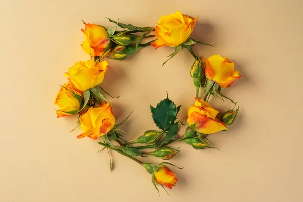 Mini rosas amarelas no fundo bege, vista superior — Fotografia de Stock