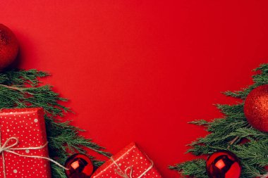 Kırmızı Noel arka planında kozalaklı dallar