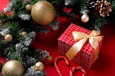 Kırmızı arka planda donmuş Noel ağacı dalları