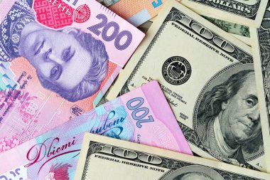 Ukrayna parası Hryvnia ve ABD doları banknotları yakın plan