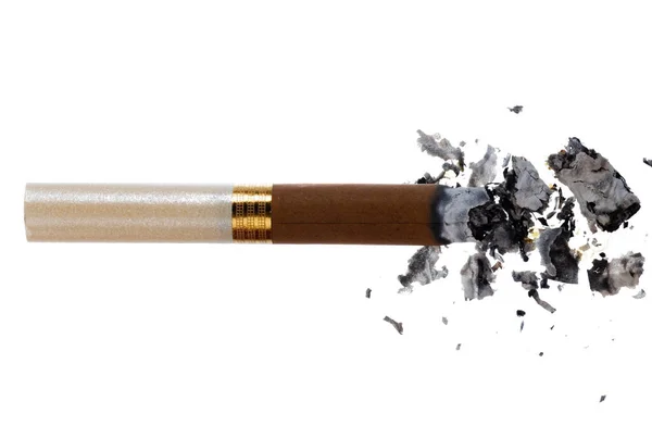 Lit cigarro marrom isolado no fundo branco — Fotografia de Stock