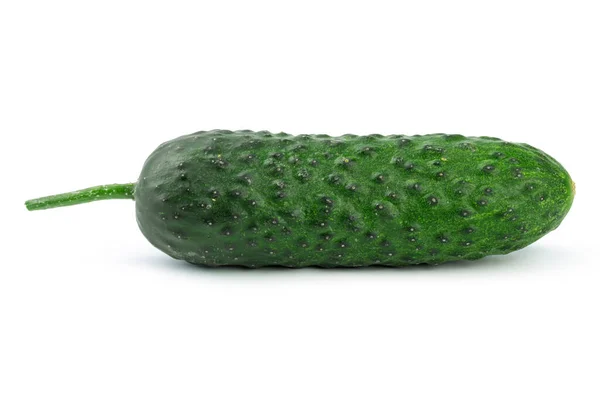 Cucumber isolated on white background. High quality photo Stock Picture