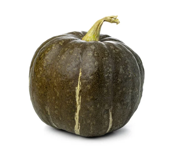 Estudio de una calabaza aislada sobre fondo blanco — Foto de Stock