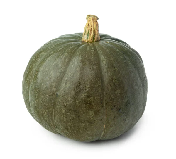 Studio shot of a pumpkin isolated on white background — Stock Photo, Image